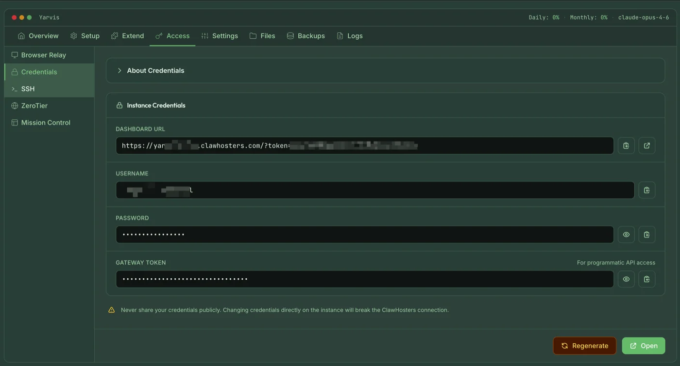 Your Subdomain & Credentials