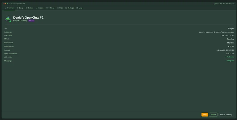 The new instance dashboard showing status, tier, provider, and messenger configuration at a glance