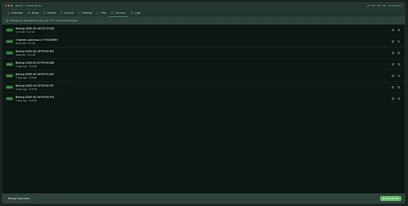 Backups tab showing daily automatic backups with timestamps and sizes
